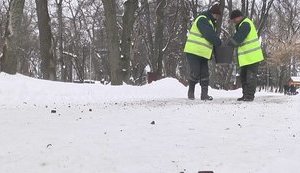 У Вінниці перейняли львівський досвід і теж посипають вулиці кавовою гущею. ВIДЕО