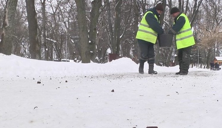 У Вінниці перейняли львівський досвід і теж посипають вулиці кавовою гущею. ВIДЕО
