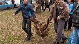 Россия пережила рекордный Курбан-байрам: забой жертвенных баранов происходил прямо на улицах Москвы. ФОТОрепортаж.