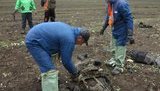 захоронения ато останки