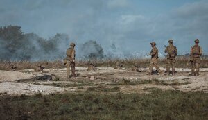 навчання,зсу,велика,військові,британія