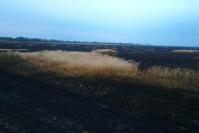 пожар днепропетровщина пшеница