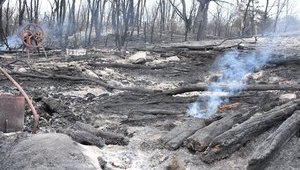 Сосновые деревья, отсутствие связи, засуха: замдиректор ГНИУ "Чернобыльский центр" Гащак назвал причины пожаров в зоне ЧАЭС