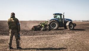 Хто купує землю в Україні під час війни та як змінюється ціна