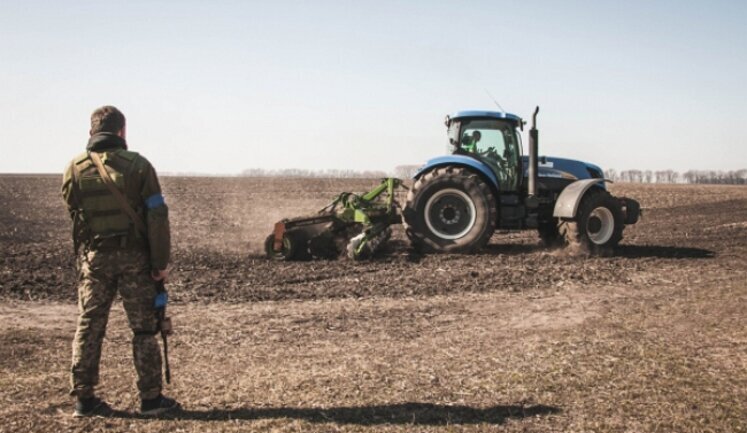 Хто купує землю в Україні під час війни та як змінюється ціна