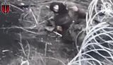 ліквідація окупанта