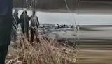 У Києві на озері перехожі врятували двох дівчаток, які провалилися під лід. ВIДЕО