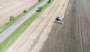 Другим пріоритетом для влади після боротьби з COVID-19 є продовольча безпека України, - радник президента Устенко