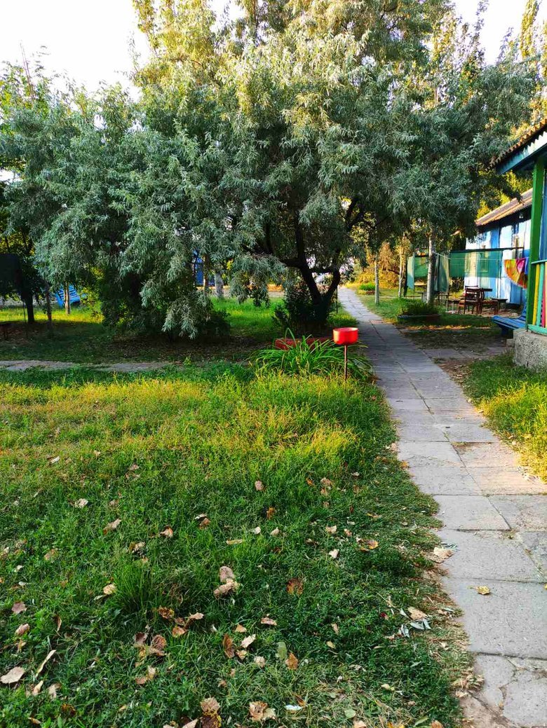 Фонд держмайна продав занедбану базу відпочинку на Одещині