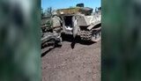 трофей