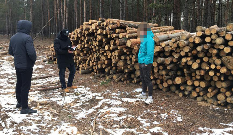 ГБР подозревает четырех лесничих в нанесении 6 млн грн ущерба, проводятся обыски в Гослесагентстве и лесничествах Житомирской области. ФОТОрепортаж