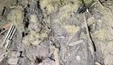 Наслідки бомбардування житлових кварталів Сум російською авіацією. ФОТОрепортаж 21+