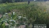 Пожилой мужчина выстрелил в сына и покончил с собой на Черкасщине, - полиция. ФОТО