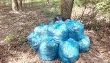 Україна сьогодні приєднається до акції "Всесвітній день прибирання"