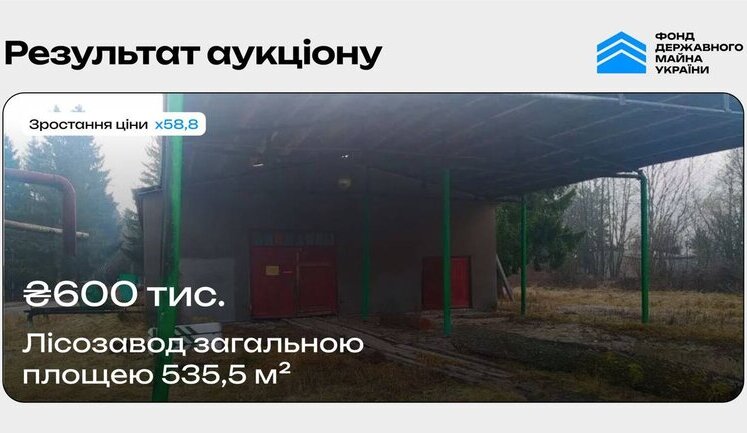 Фонд держмайна виставив на продаж лісозвод на Волині за 10 тисяч гривень. Під час торгів ціна зросла у 59 разів