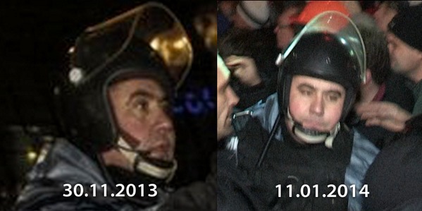 беркут опознание