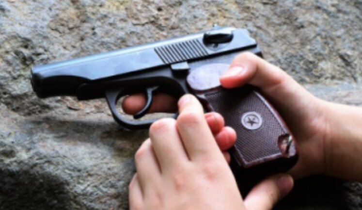 В связи с нападением на Шефира полиция проверяет оружие у ветеранов в Кропивницком, - Линько