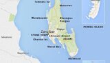 Ukrainian tourists stranded in Zanzibar due to plane malfunction