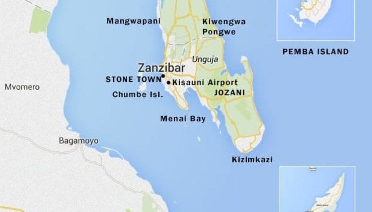 Ukrainian tourists stranded in Zanzibar due to plane malfunction