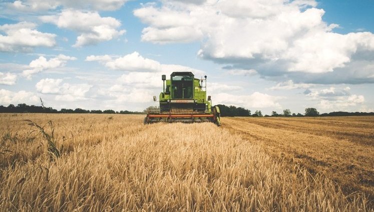 На яку державну підтримку очікувати аграріям у 2021 році