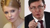 Решение Европейского суда откроет Тимошенко и Луценко путь на выборы, - Яценюк. + ВИДЕО