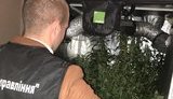 СБУ задержала военнослужащего, который продавал наркотики личному составу бригады. ФОТОрепортаж