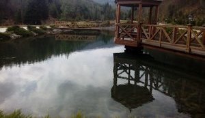 "Такой роскоши еще не видел - это настоящее закарпатское Межигорье", - дачу Медведчука открыли для посетителей. ФОТОрепортаж