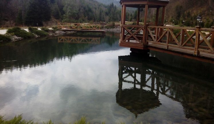 "Такой роскоши еще не видел - это настоящее закарпатское Межигорье", - дачу Медведчука открыли для посетителей. ФОТОрепортаж