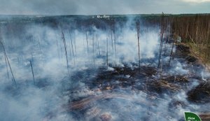 Российские обстрелы стали причиной большинства лесных пожаров в Украине за неделю. ФОТОрепортаж