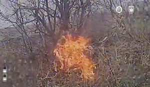 Сховатися в кущах не вийшло: дрони "Птахів Мадяра" спалили окупанта. ВIДЕО