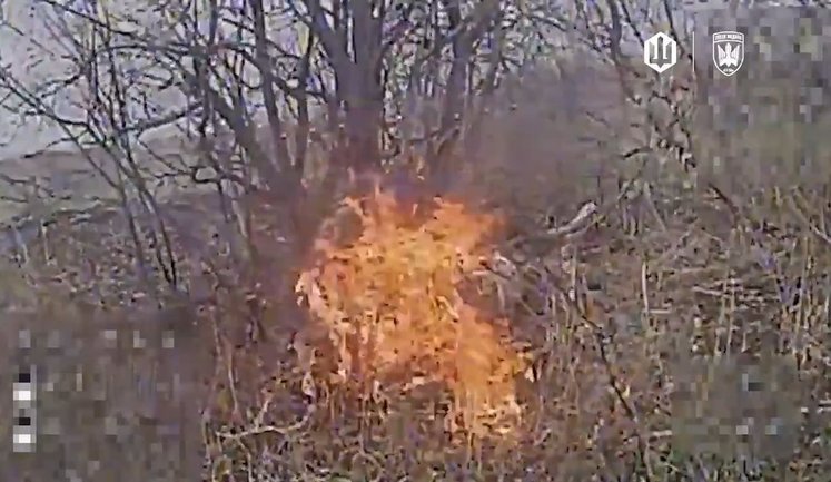 Сховатися в кущах не вийшло: дрони "Птахів Мадяра" спалили окупанта. ВIДЕО