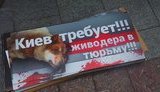 "Живодера в тюрьму!" - под Апелляционным судом Киева требовали оставить в силе арест догхантера Святогора. ФОТОрепортаж+ВИДЕО