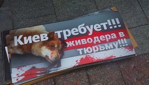 "Живодера в тюрьму!" - под Апелляционным судом Киева требовали оставить в силе арест догхантера Святогора. ФОТОрепортаж+ВИДЕО