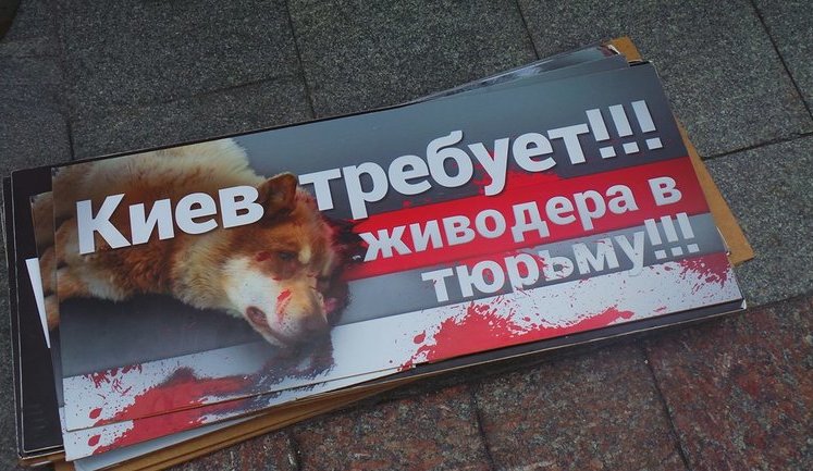 "Живодера в тюрьму!" - под Апелляционным судом Киева требовали оставить в силе арест догхантера Святогора. ФОТОрепортаж+ВИДЕО