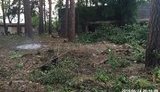 спил