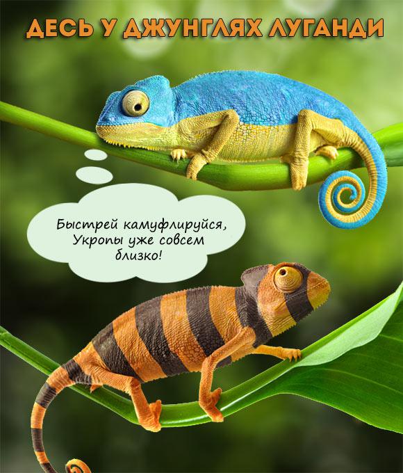 Цензор.НЕТ Изображение