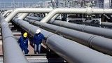 Кабмин решил увеличить уставный капитал "Магистральных газопроводов Украины"
