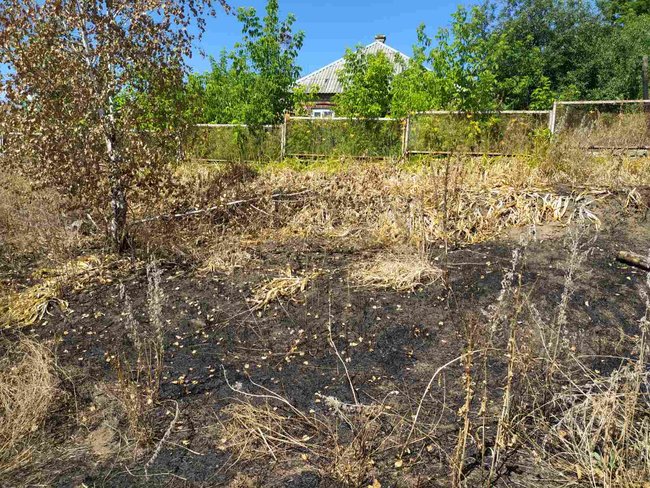 Пенсіонерка на Харківщині загинула під час спалювання сухостою, - ДСНС 02