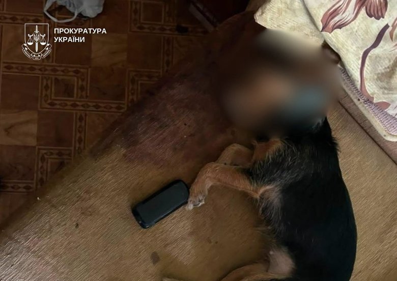 Woman throws dog out of a window in Kyiv
