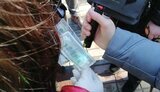 $11 тис. хабаря за захист дисертації: доцента університету на Хмельниччині затримали