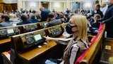 В парламенте обсуждают возможность сокращения летних каникул для депутатов, - "слуга народа" Мошенец