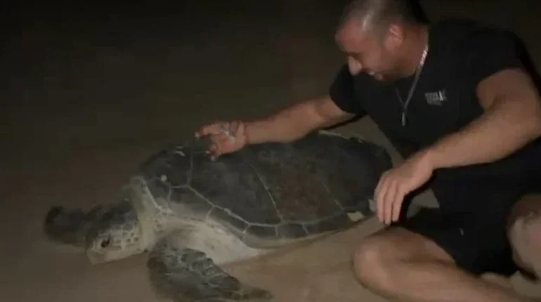 A court in Oman has sentenced the Ukrainians for mistreating sea turtles