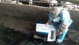 В СЦКК показали последствия обстрела наемниками гражданских объектов в Майорске, Новолуганском и Гнутово.. ФОТОрепортаж