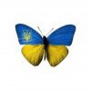 Олена Хоменко
