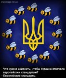 Что нужно изменить, чтобы Украина отвечала европейским стандартам?