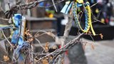 Ukraine Has Made Great Progress, but We Need Our Allies