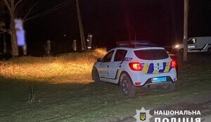 Затримали школярку, яка підпалила електропідстанцію