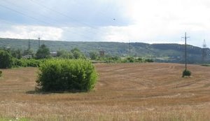 Нелегальное кладбище организовали в садовом кооперативе под Львовом, - полиция
