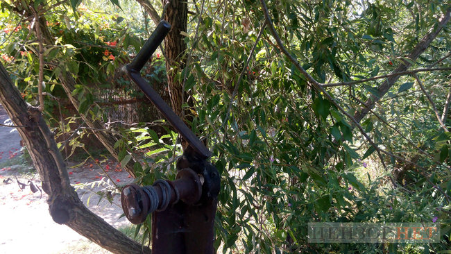 Тихі канали, швидка річка і дунайський оселедець - весна і осінь у Вилковому 14 Тихі канали, швидка річка і дунайський оселедець - весна і осінь у Вилковому 14