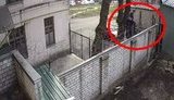 Перелізла через паркан, спробувала кинути телефон в Бабікова, чинила спротив, - ДБР розслідує "факт можливого порушення громадського порядку" Чорновол. ВIДЕО